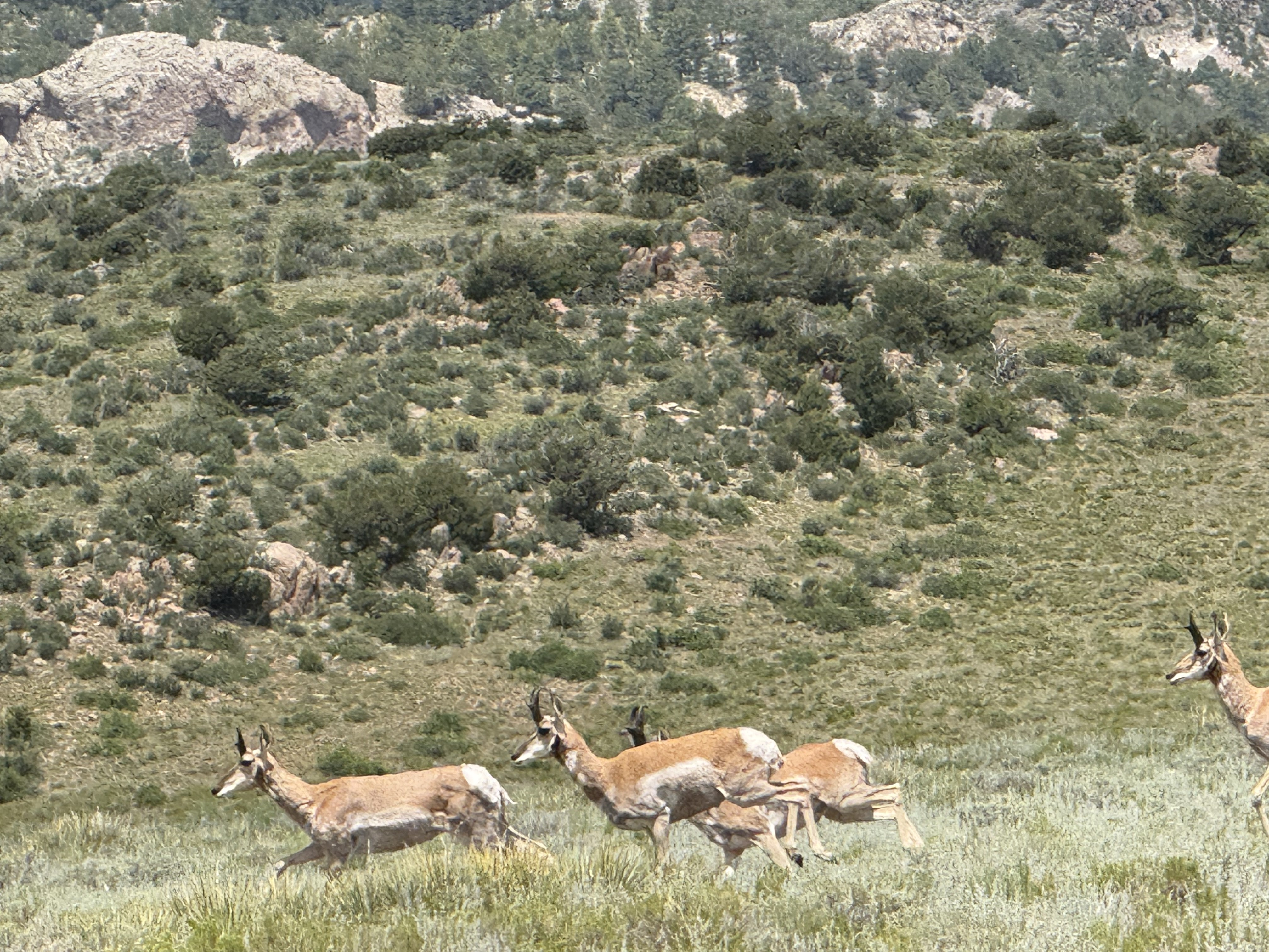 Majestic Peaks Ranch Lot 8